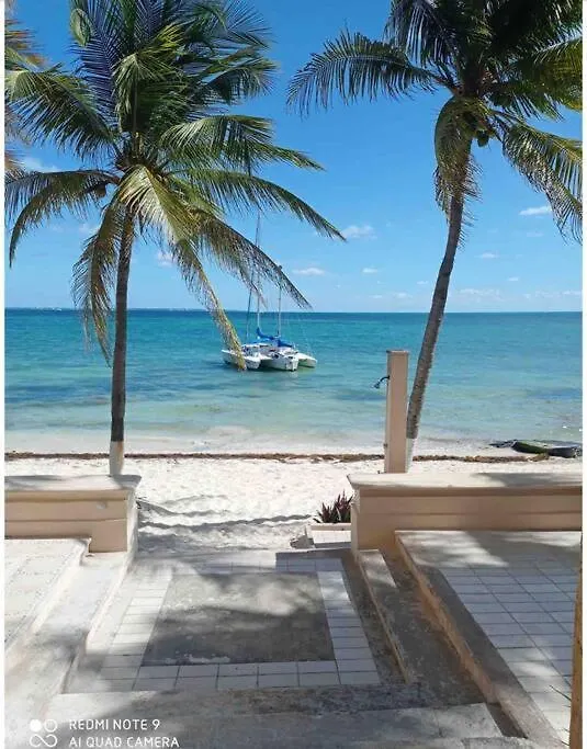 Ultimate Oceanview Penthouse Spectacular Sea Views Apartment Cancun 0*,  Mexico