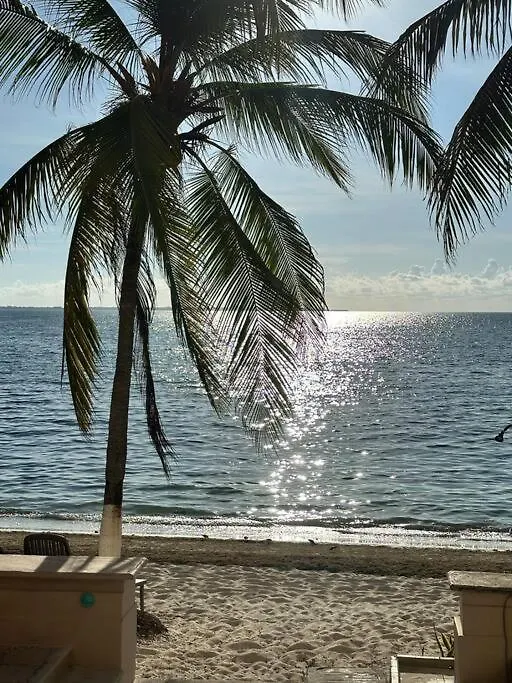 Ultimate Oceanview Penthouse Spectacular Sea Views Apartment Cancun